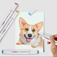 TOUCHNEW T6 Marker 40 Farben Animationsdesign Set für Erwachsene Kunst Zeichnen Skizzieren mit Tragetasche